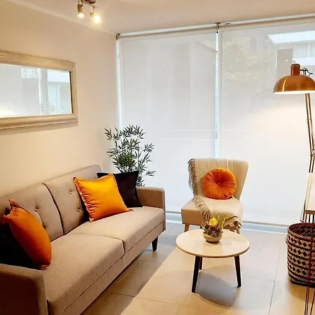 Downtown And Pleasant Apartment In Santiago!